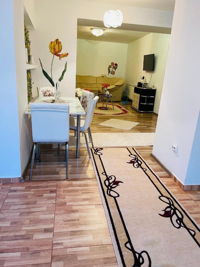 Apartmán Casa Iris Iasi Exteriér fotografie